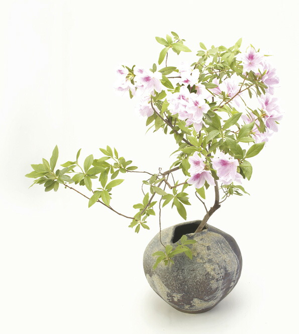 楽天市場】金彩小花長 花入 信楽焼 陶器 花器 花瓶 彩り屋 : 彩り屋