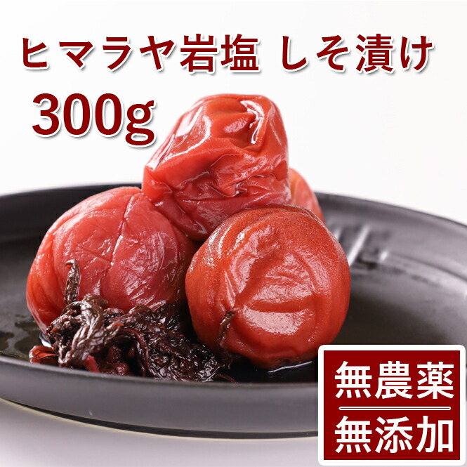 479円 人気定番の ORBIS オルビス プチシェイク トライアルセット スウィートテイスト フレッシュストロベリー ホワイトピーチ パインマンゴー 100g×3食 479円 人気定番の ORBIS オルビス プチシェイク トライアルセット スウィートテイスト フレッシュストロベリー ホワイトピーチ パインマンゴー 100g×3食