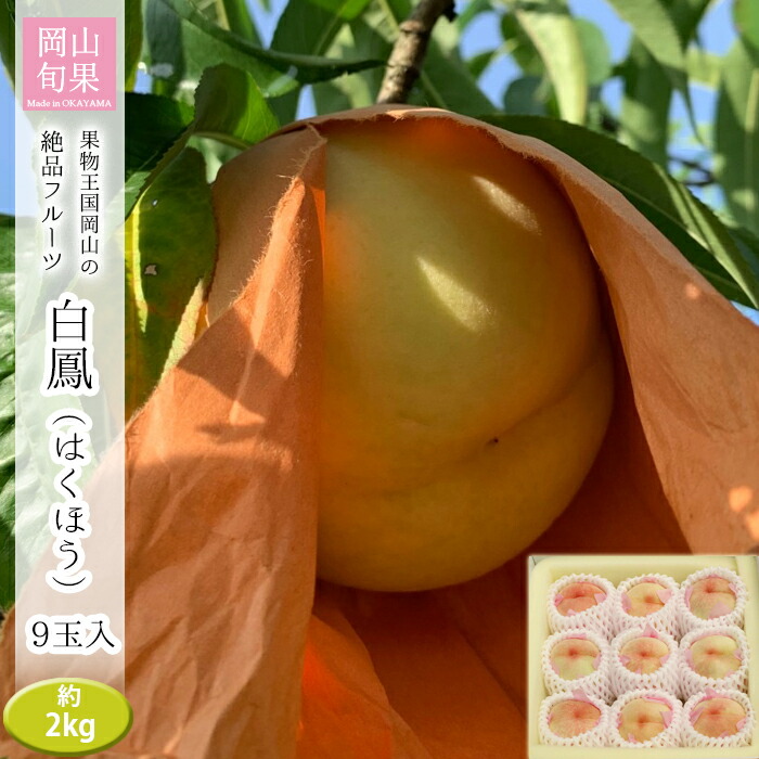 予約受付品 21年7月中旬頃から発送予定 岡山県産 岡山白桃 白鳳 9玉 2kg 岡山 桃 6個 お中元 白桃 もも モモ 贈答用 ギフト お土産 プレゼント お取り寄せ 7月 送料無料 北海道 沖縄除く Paigebird Com