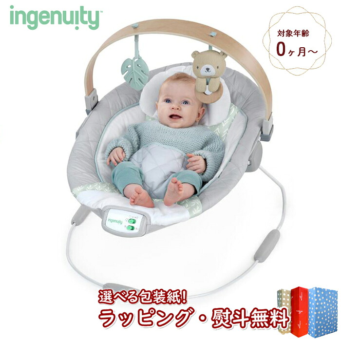 〔P〕Kids2 ingenuity コージースポット スージング バウンサー 13104 キッズツー インジェニュイティ ベビーバウンサー くま グレー グリーン ベビーチェア ゆりかご 寝かしつけ グッズ 電動 赤ちゃん 0ヶ月 出産祝い 出産祝い 誕生日 クリスマス｜いろは堂本店