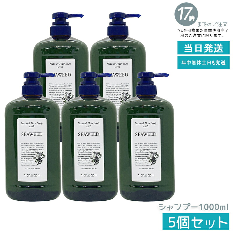 【5個仕掛ける】ルベル 自然的 髪の毛 石ケン ウィズ SW 1000ml