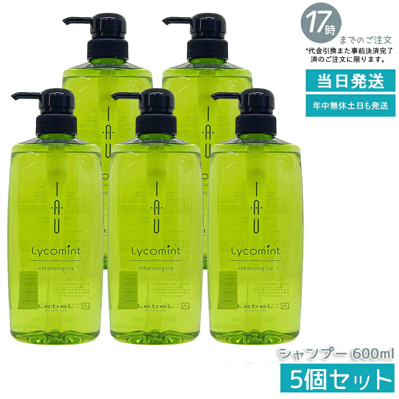 【5個セット】ルベル IAU イオリコミント クレンジング icy 600ml