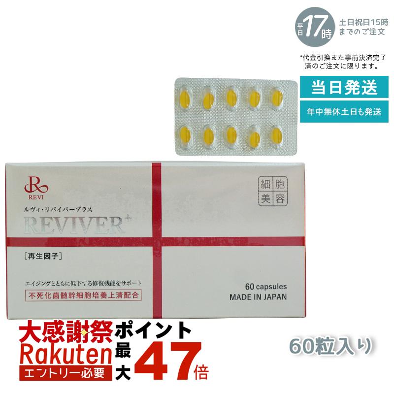 新品！お値引き！リーウェイ　RIWAY コンセンシャス ZERO OnlineShop,ブランド別,KC's,ロングウォレット | ろーぐす