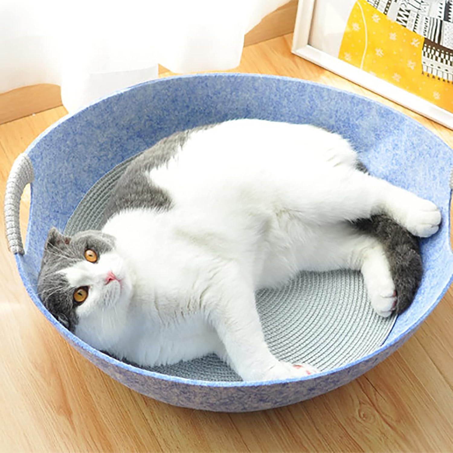 マルカン　ひんやりクール猫鍋 ジャンボ アルミ製45cm L サイズ２個セット Amazon.co.jp: マルカン ひんやりクール猫鍋 ジャンボ アルミ製