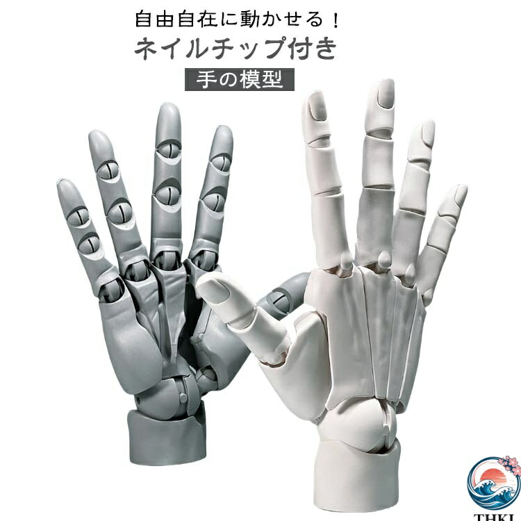 【全品2点で5%OFF】曲げられるスタンド付き ハンドモデル ネイルチップ付き 1/1 左手 右手 R L 可動式 バイオニック指関節 アニメ デッサン用素体美術 フィギュア ホワイト グレー スキンカラー モデル ハンド 模型 イラスト デッサン 可動手首