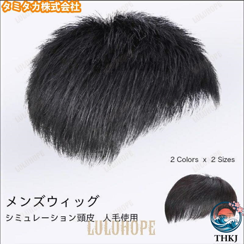 【全品5%尖んがり】かつら メンズ ウィッグ 気取らない セルフ増毛 人毛 分け取りウィッグ 成人男性 薄毛打つ手 カツラ 遊撃手 エクステ