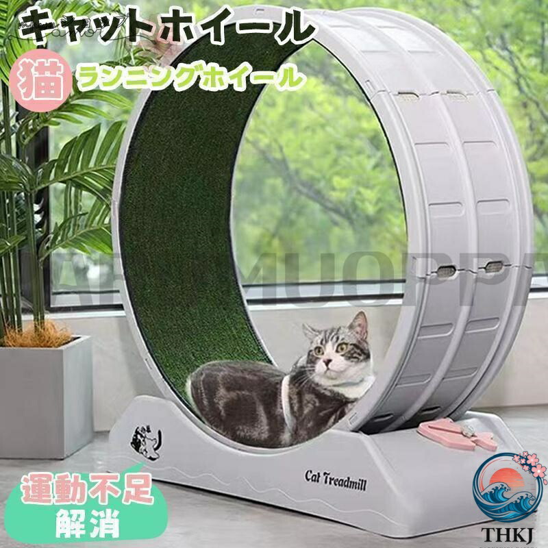 【全品5%尖んがり】キャットホイール 猫 回し車 鍵を掛ける備え付ける内蔵 静音低響動めき 猫専用御部屋走者 猫 駈けっくら車輪 キャットウォーク 運動すること不完全さ差し止める 剪断応力差し止める 猫