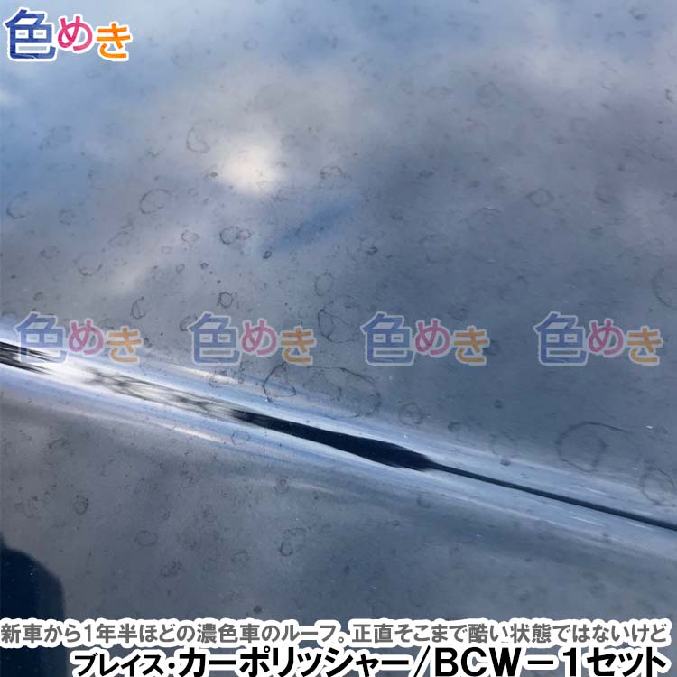 送料無料 ブレイスカーポリッシャー w 1 クルマ磨き 車好き Diy 混合物 蝋涙 Cannes Encheres Com