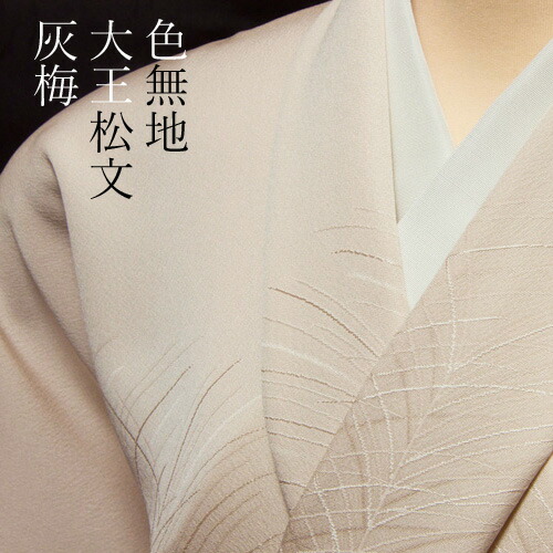 楽天市場】色無地 紋意匠 付下げ柄 大王松文 鳩羽鼠【反物1反・胴裏1枚