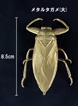 楽天市場 タガメ 絶滅危惧種 昆虫 金属 メタル 小 デスク インテリア 置物 リアル おもしろ 雑貨 かっこいい メタルシリーズ Castem