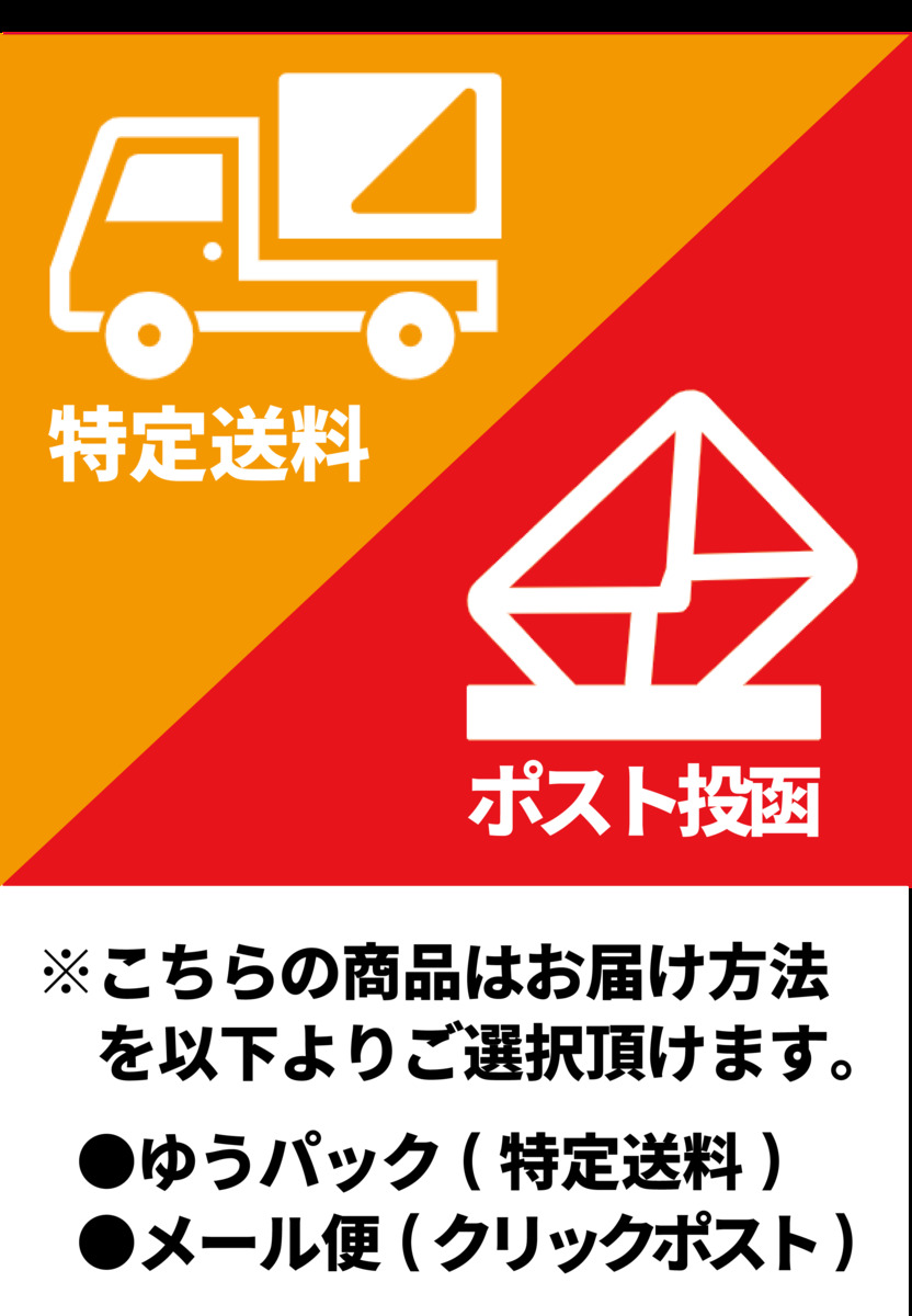 楽天市場 紙飛行機 飛行機 紙ヒコーキ 知育玩具 ４歳 親子で遊べる 折り紙 簡単 本 書籍 図書 ザ １０回折り おり紙ヒコーキ Castem