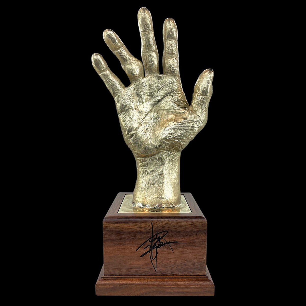 楽天市場】【公認グッズ】マニー・パッキャオ左拳トロフィー(24