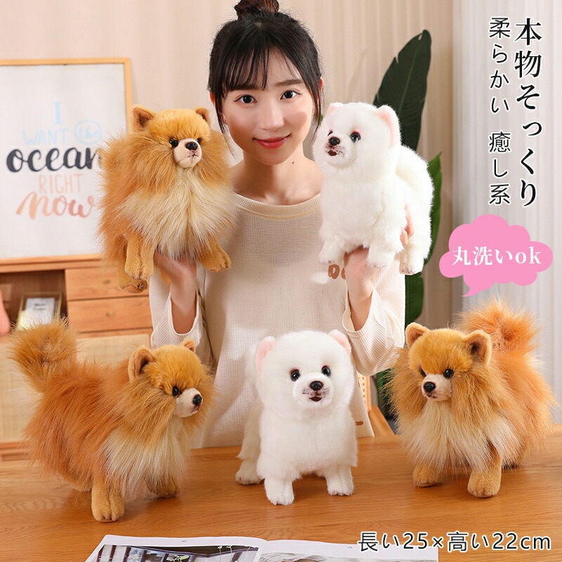 ＼最安4990円!4月末まで／ぬいぐるみ ポメラニアン 犬 リアル 本物そっくり 動物 ふわふわ 柔らかい 癒し系 部屋 インテリア 誕生日 贈り物 生々しい いぬ 抱き枕 イヌの置物