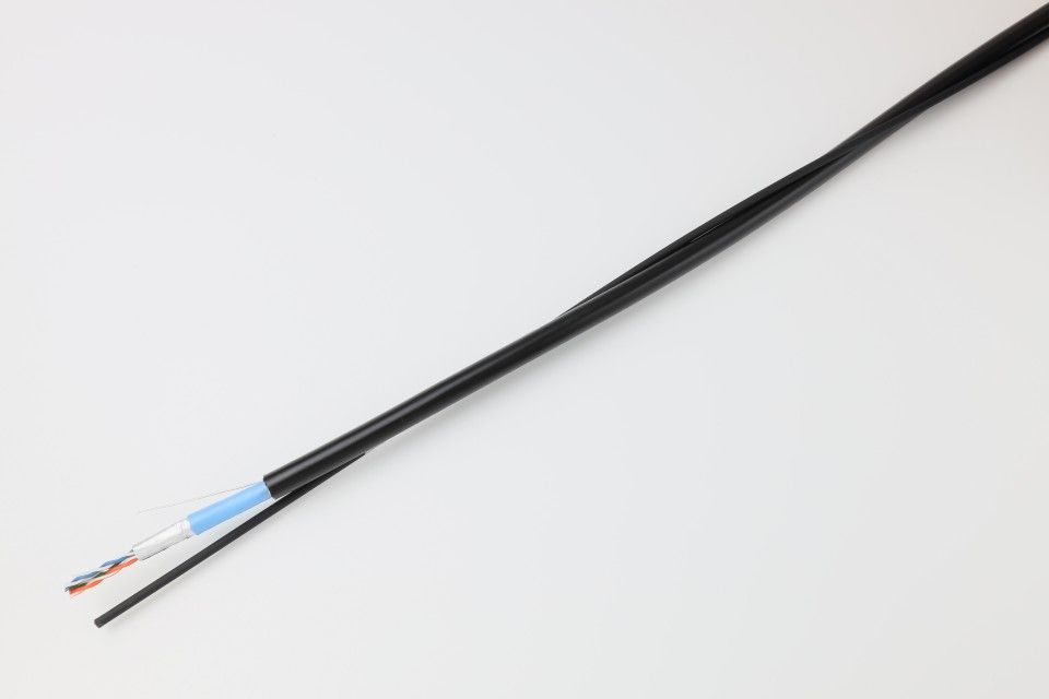 日本製線 Cat5e LAP 0.5-4P NSEDT-S-LAP-SS 200M