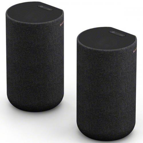 Sony SA-RS5 後押し金棒引き