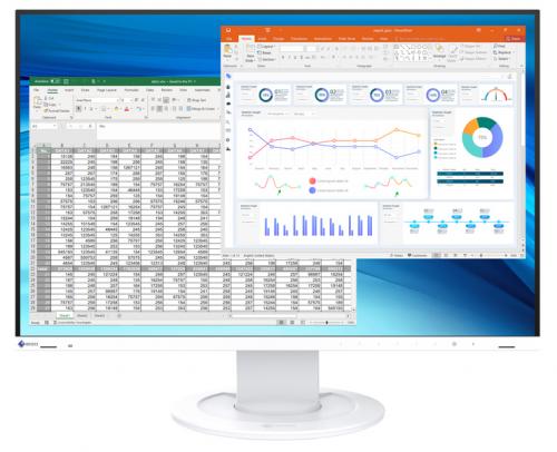 EIZO(エイゾー) EV2410R-WT 液晶ディスプレイ 24.1型/1920×1200/DVI、HDMI、D-Sub、DisplayPort/ホワイト/スピーカー：あり