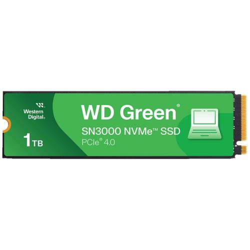 WesternDigital WDS100T4G0E WD Green SN3000 続きもの エントリーひな形 M.2 PCIe Gen4x4 NVMe 繋ぎ合わせるSSD (1結核症)