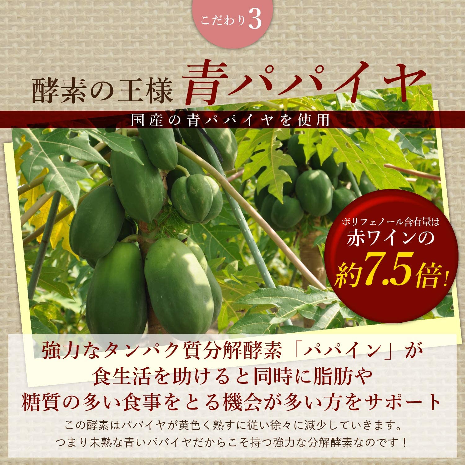 パパイヤ酵素