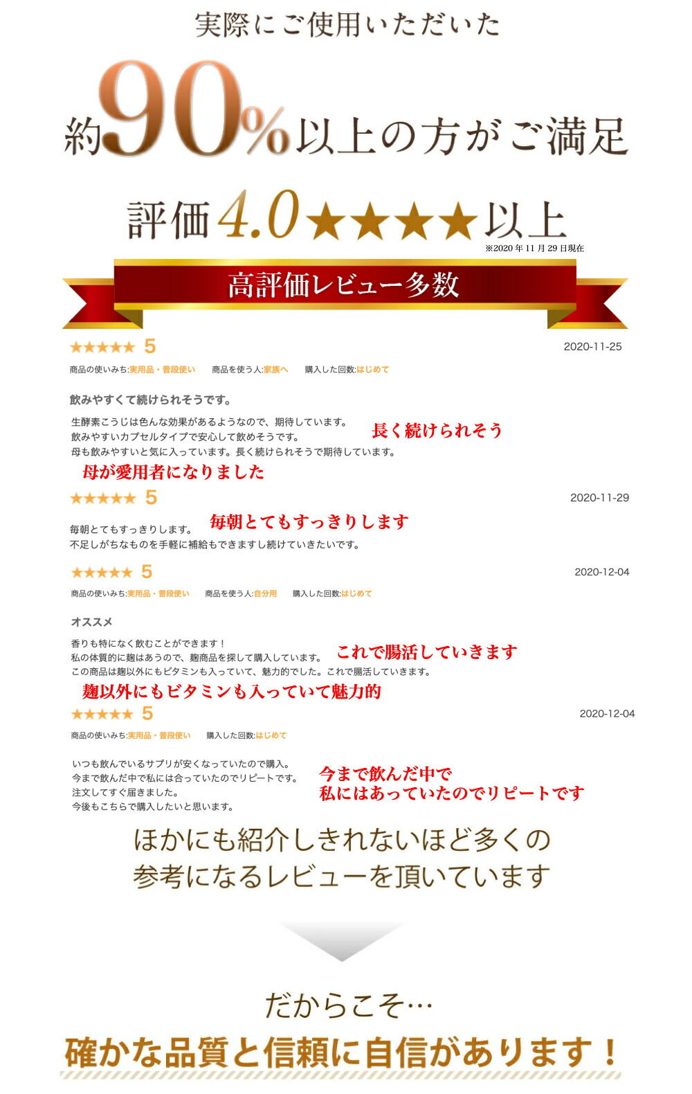 レビュー紹介