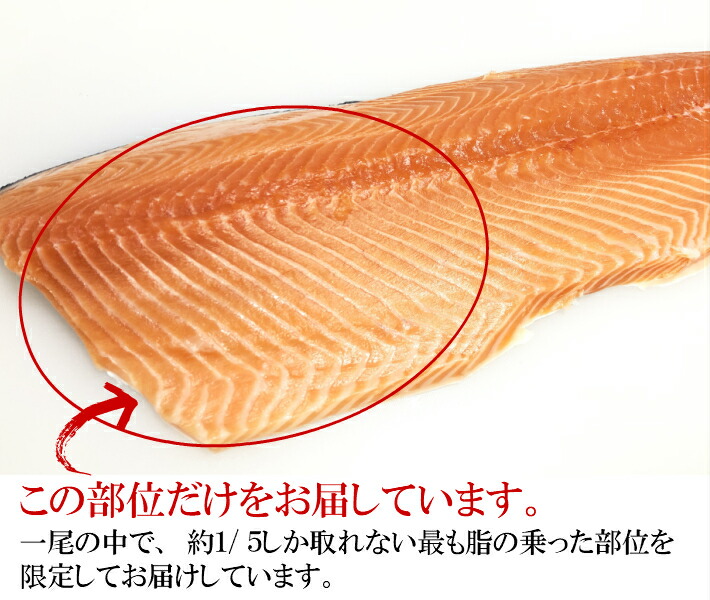 おトク】 トロサーモン 刺身用サーモン 生 500ｇ お中元 お歳暮 ギフト サーモン さけ 鮭 鮮魚 新鮮 寿司 刺身 さしみ 魚 お取り寄せグルメ  アトランティックサーモン キングサーモン カルパッチョ turbonetce.com.br