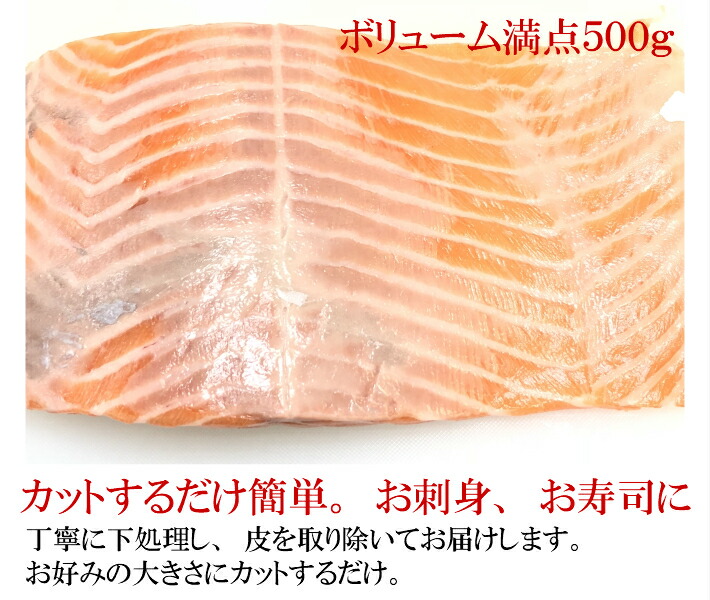 おトク】 トロサーモン 刺身用サーモン 生 500ｇ お中元 お歳暮 ギフト サーモン さけ 鮭 鮮魚 新鮮 寿司 刺身 さしみ 魚 お取り寄せグルメ  アトランティックサーモン キングサーモン カルパッチョ turbonetce.com.br