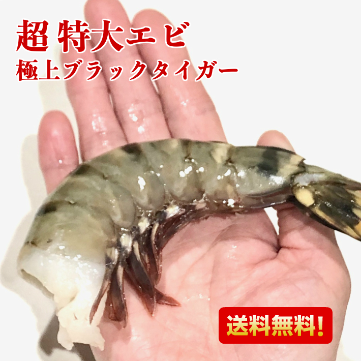 超 特大エビ 900g 約15尾 えび 送料無料 冷凍エビ エビ 海老 特大 ブラックタイガー 大きい海老 エビフライ 海老フライ えびフライ 業務用 海老天ぷら ギフト バーベキュー 保存食 インドネシア お取り寄せグルメ 海老チリ 贅沢屋の