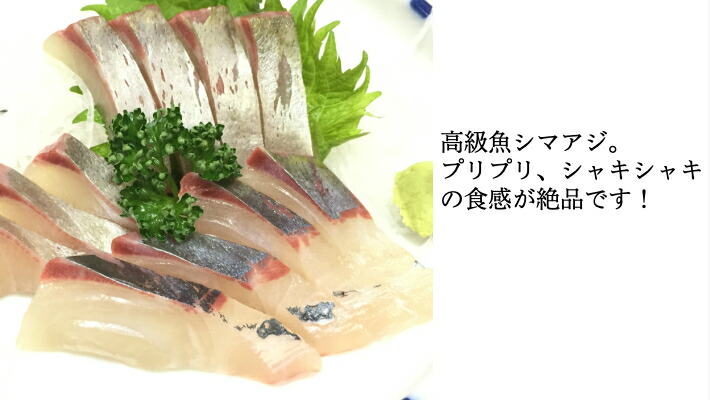 活〆シマアジもの匹1 2kg 1 3kg 送料無料 しまあじ 刺身 シマアジ バー鯵 鮮魚 しまあじ お中元 酒肴 刺身つかい道 国産 活魚 鮓用 お取り寄せ食い道楽 付け届け お歳暮 愛媛育成 縞鰺 Cannes Encheres Com