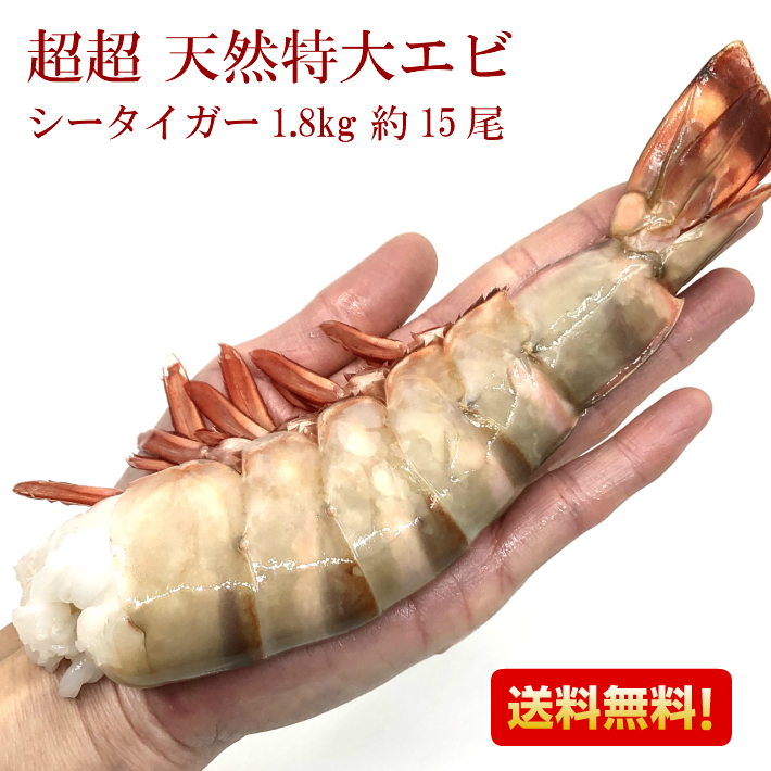 エビ 超超 特大エビ シータイガー 1 8kg 約15尾 送料無料 えび 冷凍エビ 海老 特大 ブラックタイガーの種 大きい海老 エビフライ 海老フライ えびフライ 業務用 海老天ぷら ギフト 惣菜 バーベキュー ギフト お取り寄せグルメ 海老チリ 車エビ科