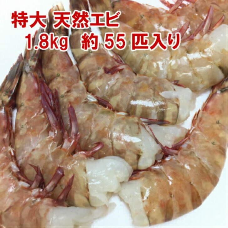 海老冷凍  特大 天然エビ  1.8kg/約55尾 フラワーエビ 冷凍エビ お歳暮  海老フライ  殻付きエビ 海老 特大 送料無料 無頭エビ 冷凍食品  バーベキュー エビフライ 冷凍エビ ギフト ブラックタイガーより高価