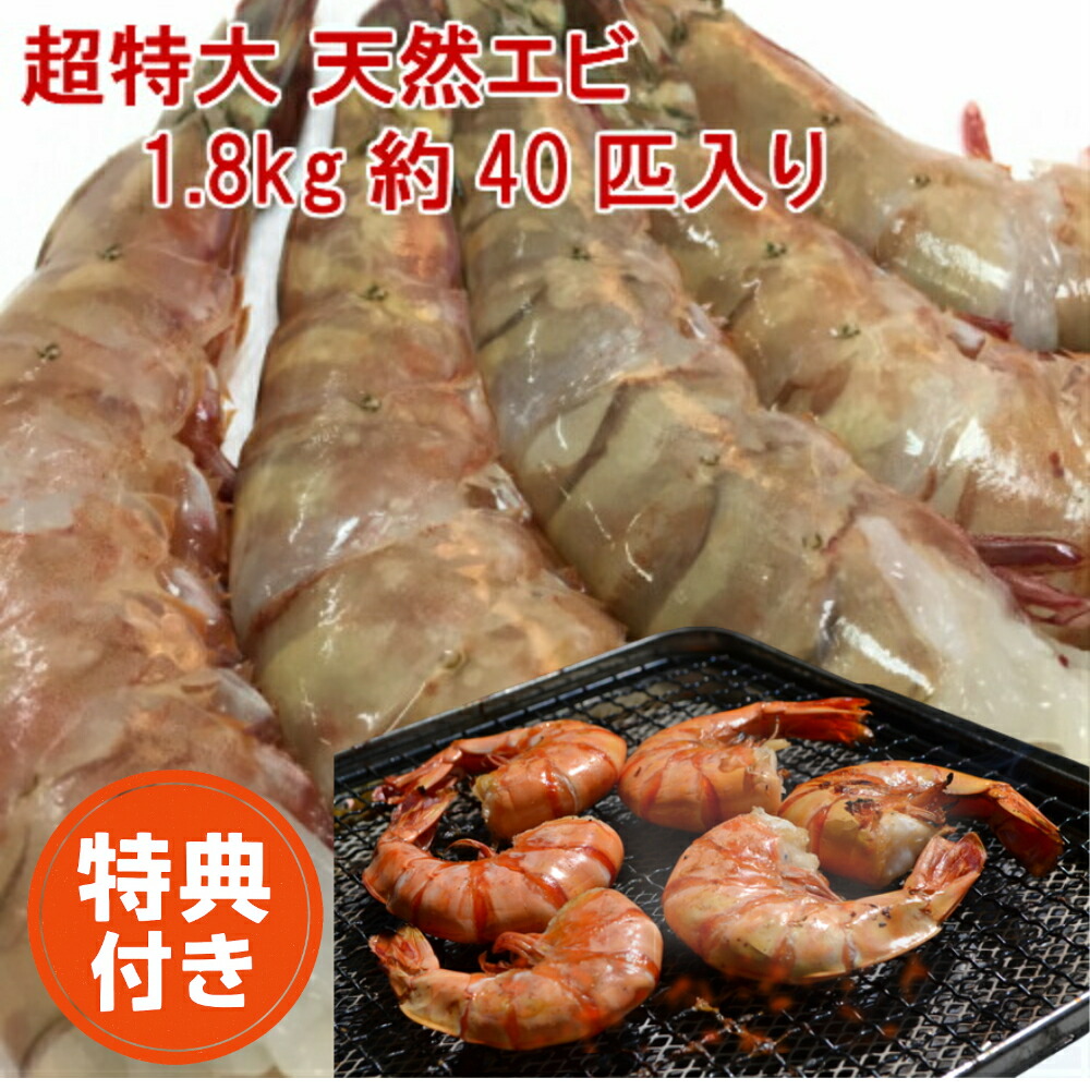 天然エビ 特特大 1.8kg/約40匹 フラワーエビ  冷凍エビ お歳暮 送料無料 海老 えび 殻付きエビ エビフライ 特大 冷凍食品  バーベキュー ギフト 海老フライ 業務用 ブラックタイガーより美味しい エビフライ用 規格 天然海老 天然エビ