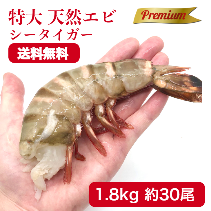 再入荷！】 冷凍エビ 超 特大エビ 1.8kg 約30尾 天然エビ シータイガー えび 送料無料 お歳暮 天然 海老 特大 ブラックタイガーの種 大きい海老  エビフライ 海老フライ えびフライ 業務用 海老天ぷら ギフト バーベキュー 海老チリ 車エビ科 fucoa.cl