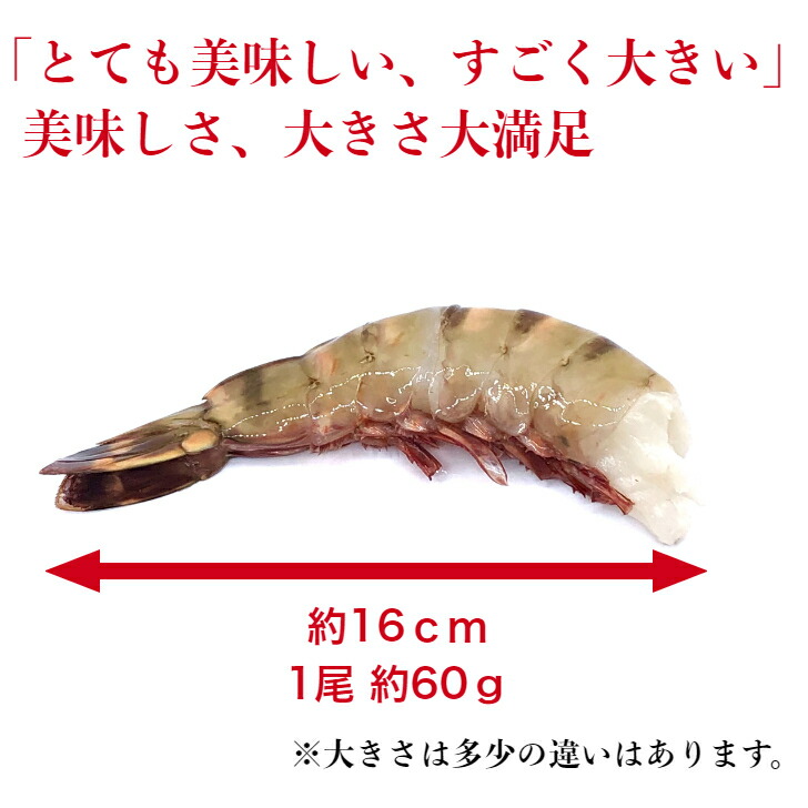 92 以上節約 冷凍エビ 超 特大エビ 1 8kg 約30尾 天然エビ シータイガー えび 送料無料 お歳暮 天然 海老 特大 ブラックタイガーの種 大きい海老 エビフライ 海老フライ えびフライ 業務用 海老天ぷら ギフト バーベキュー 海老チリ 車エビ科 Fucoa Cl