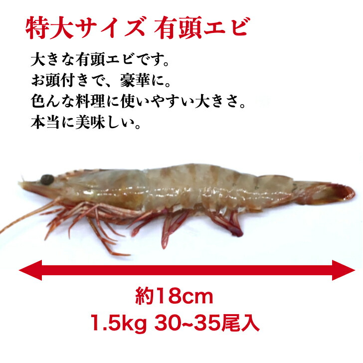 素晴らしい オマケ付き 海老冷凍 有頭エビ オーストタイガー 1 5kg 約30尾 送料無料 えび 海老 冷凍エビ 頭付き エビ エビフライ おせちエビ 天然海老 有頭えび 車エビ科 ブラックタイガーの種 Toothkind Com Au