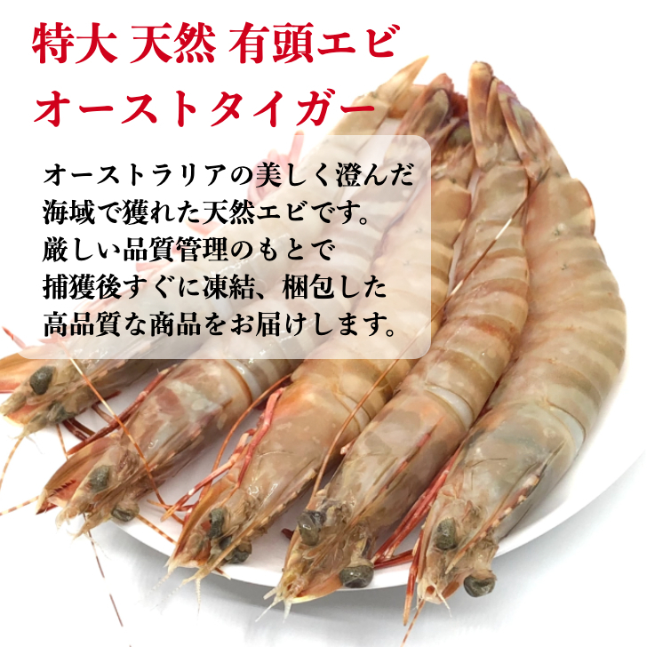 素晴らしい オマケ付き 海老冷凍 有頭エビ オーストタイガー 1 5kg 約30尾 送料無料 えび 海老 冷凍エビ 頭付き エビ エビフライ おせちエビ 天然海老 有頭えび 車エビ科 ブラックタイガーの種 Toothkind Com Au