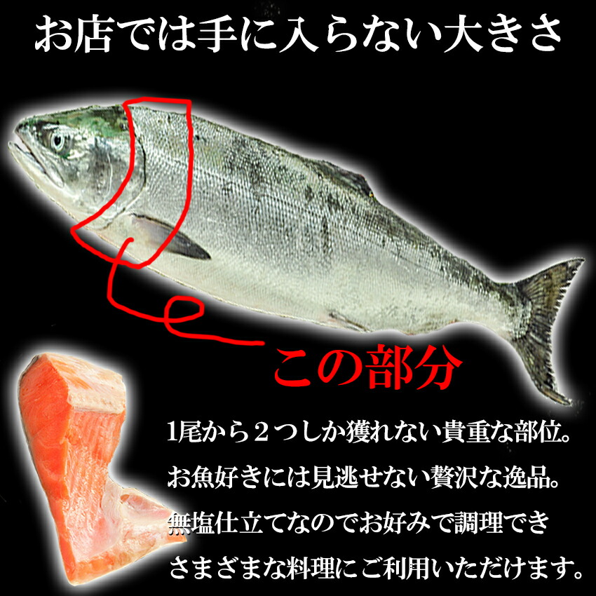 人気上昇中 銀鮭カマ1.1ｋｇ入れ 送料無料 1823123 qdtek.vn