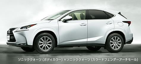 楽天市場】LEXUS【ﾚｸｻｽ】純正用品 NX【ｴﾇｴｯｸｽ】カラードドアロアモール カー用品 車用品 部品 ﾊﾟｰﾂ ｱｸｾｻﾘ ｵﾌﾟｼｮﾝ  【宅配便のみ】 : イスコウェブ