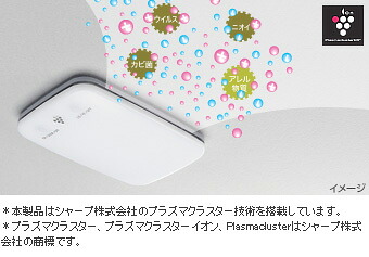 TOYOTA【トヨタ】PRIUSα【プリウスアルファ】40系前期 プラズマクラスター搭載ＬＥＤルームランプ ZVW40 純正 用品 部品 ﾊﾟｰﾂ ｱｸｾｻﾘ ｵﾌﾟｼｮﾝ 08971-75021-B0 【宅配便 中サイズ】