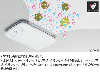 TOYOTA【トヨタ】RAV4【ラブ4】30系後期 プラズマクラスター搭載ＬＥＤルームランプ ACA30 純正 用品 部品 ﾊﾟｰﾂ ｱｸｾｻﾘ ｵﾌﾟｼｮﾝ 08971-12241-B0 【宅配便 中サイズ】