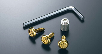 TOYOTA【ﾄﾖﾀ】CROWN ROYAL【ｸﾗｳﾝﾛｲﾔﾙ】210系後期 ナンバープレート用ロックボルト（ゴールド） GRS210 純正 用品 部品 ﾊﾟｰﾂ ｱｸｾｻﾘ ｵﾌﾟｼｮﾝ 08456-00310