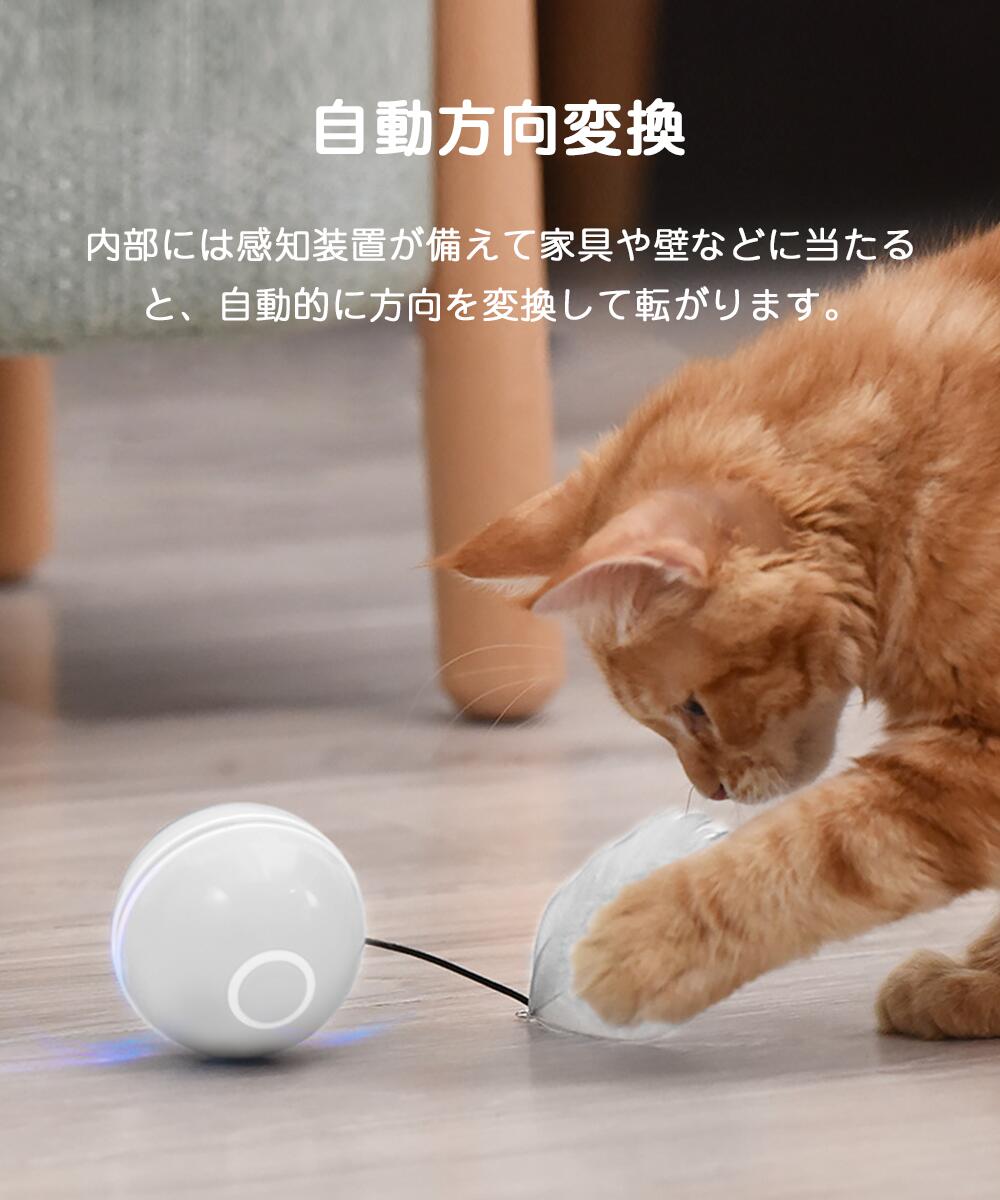お見舞いお見舞い猫 おもちゃ 猫じゃらし レーザー LED ポインター 仕事 パワポ193 猫用品