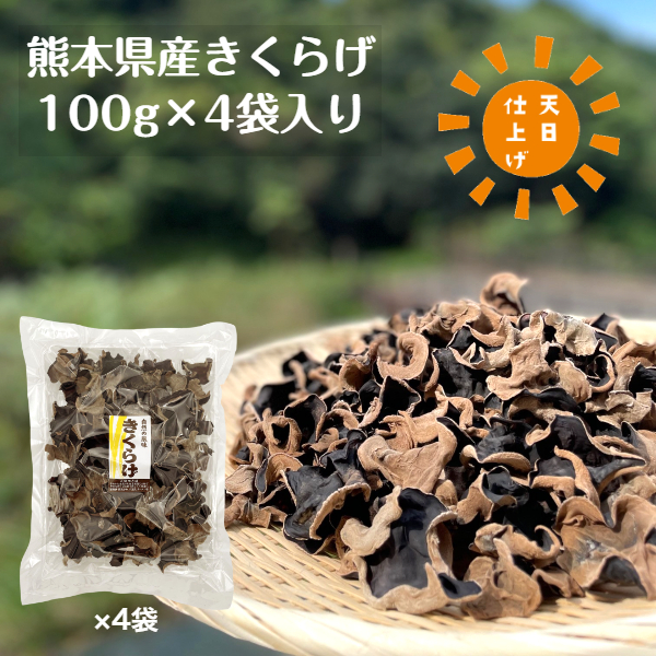 2040円 人気急上昇 きくらげ 乾燥 国産 熊本県産 100g×4袋入り 天日仕上げ 無農薬 キクラゲ 木耳 乾燥きくらげ 乾燥キクラゲ 熊本産  ビタミンD 食物繊維