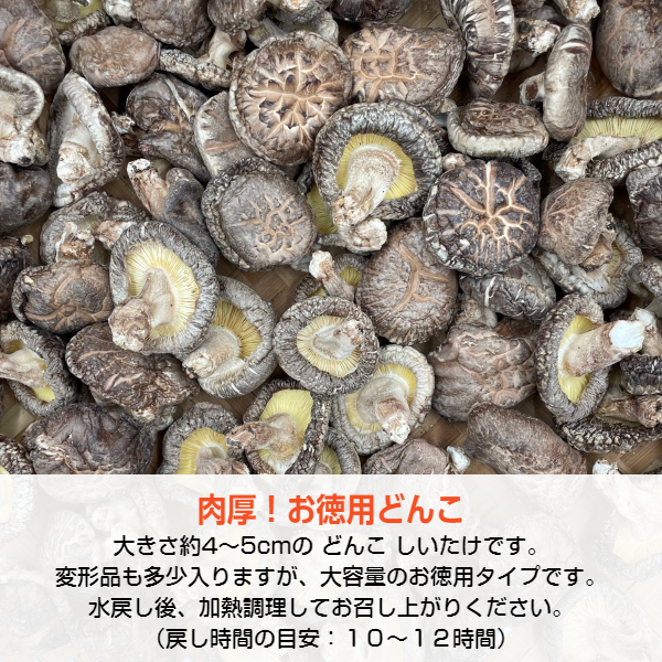 最大76％オフ！ 椎茸 九州産 高級感どんこ産地 小ぶりなどんこ 100g