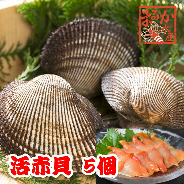 天然活さざえ 大サイズ １ｋｇ 8個 さざえ 120ｇ〜150ｇ