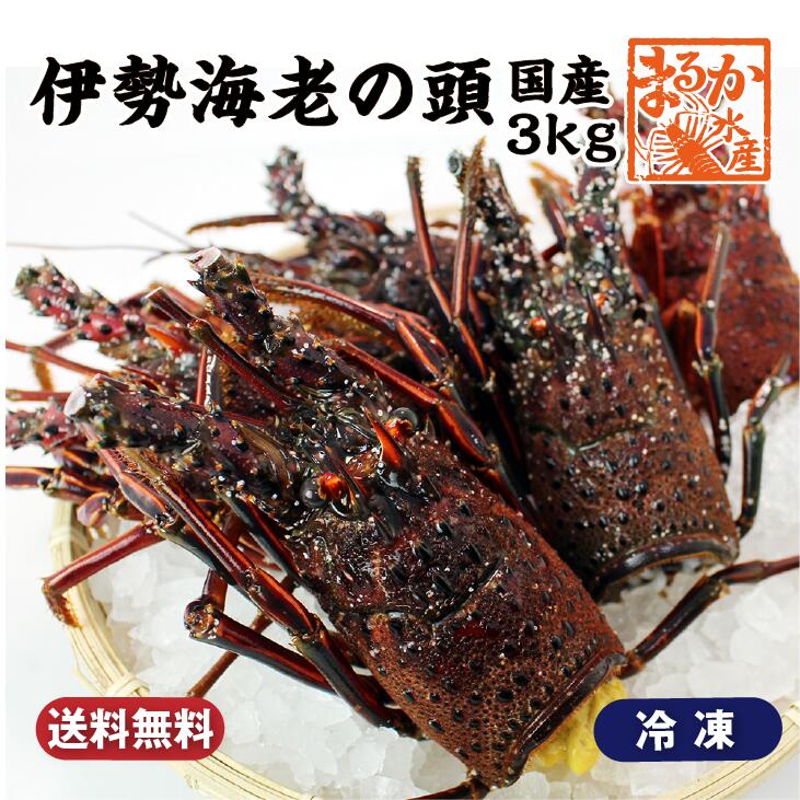 冷凍 伊勢海老の頭（国産）約3kg　[伊勢海老]