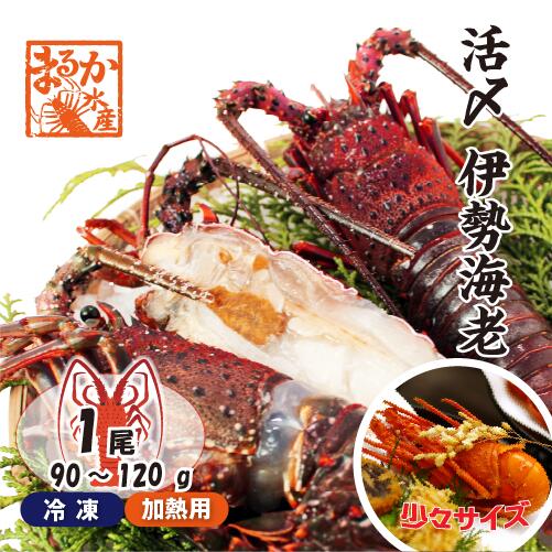 ⚠️こっしー0424商品⚠️伊勢海老 bbq-0912-01.jpg