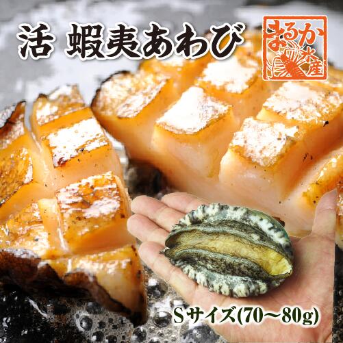 【赤貝】 楽天市場】赤貝 5個 中大サイズ 500g以上 活貝 [赤貝] : まる