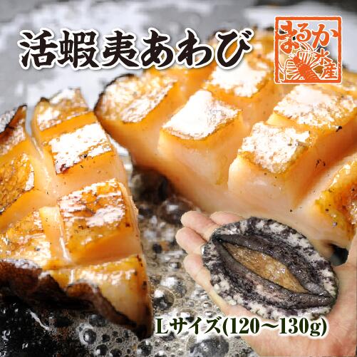 楽天市場】活伊勢海老 活きたまま発送 ちょっとワケあり 小さめ