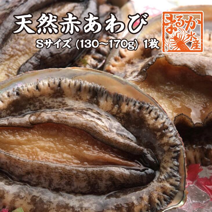 あわび 天然黒あわび SSサイズ 120～140g 5枚 ☆[あわび] | あわび,黒