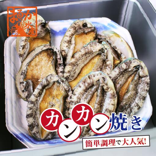 豪華なあわびでカンカン焼き　８個  軍手、ナイフ付き　[あわび]