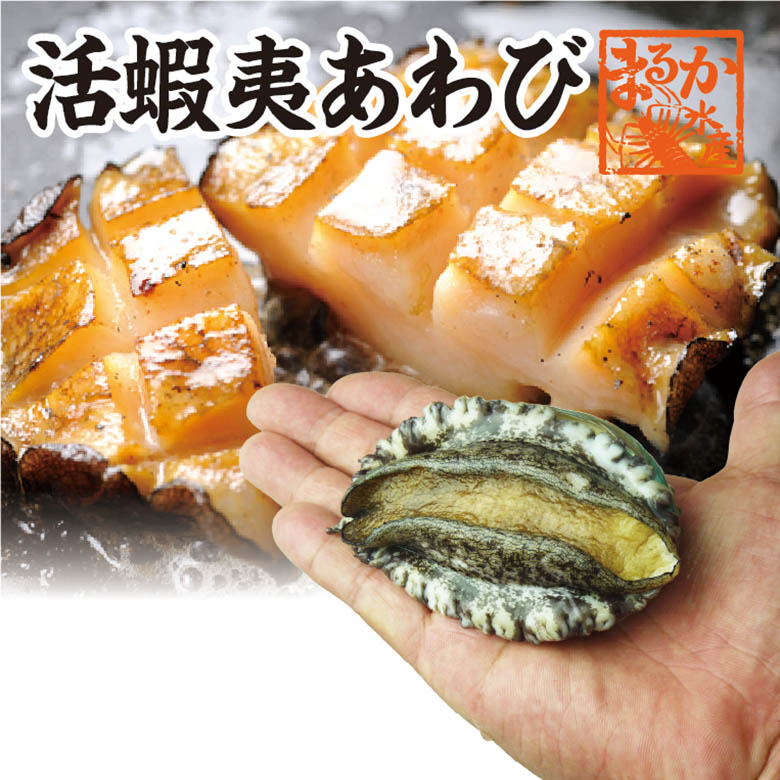 楽天市場】天然活さざえ 小サイズ １ｋｇ １５個 ５０ｇ〜７０ｇ [さざえ] : まるか水産楽天市場店